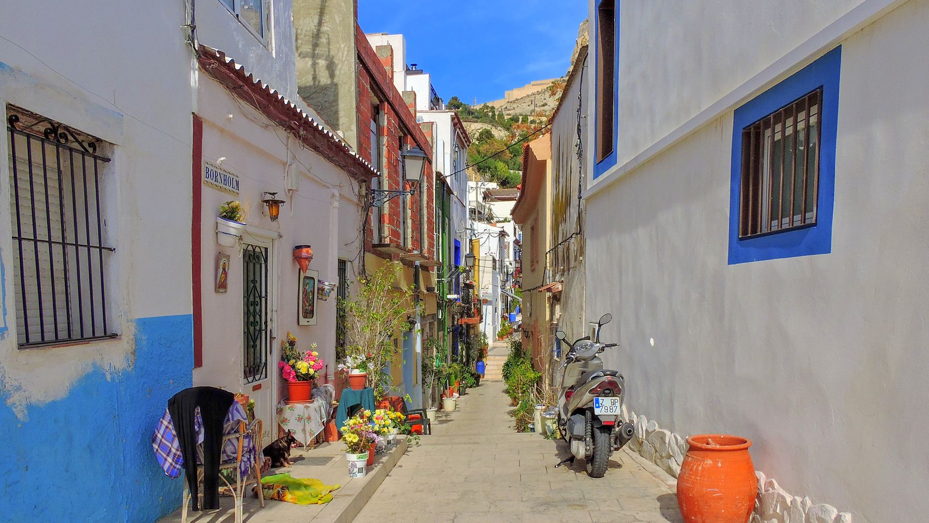 Calle del centro de un municipio español con comercios y terrazas