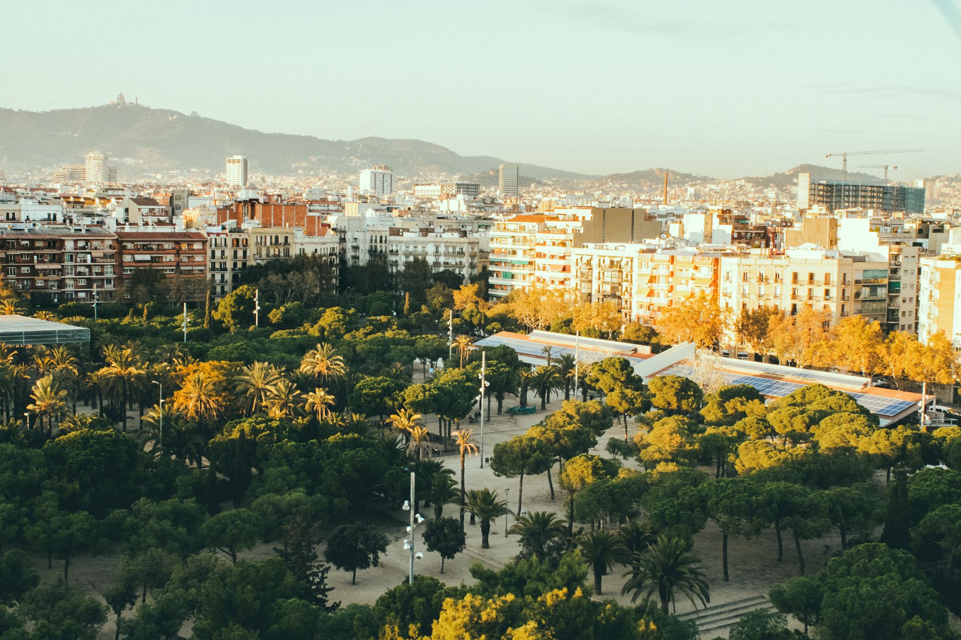 Parque urbano con césped y árboles en una ciudad española soleada