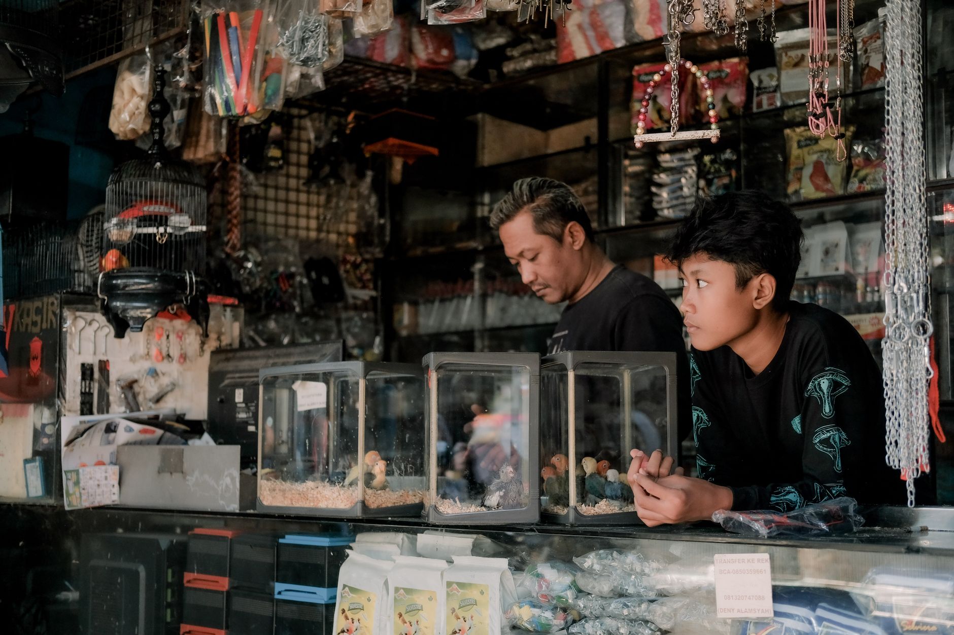 Interior de tienda de mascotas con productos para peces, pájaros y roedores