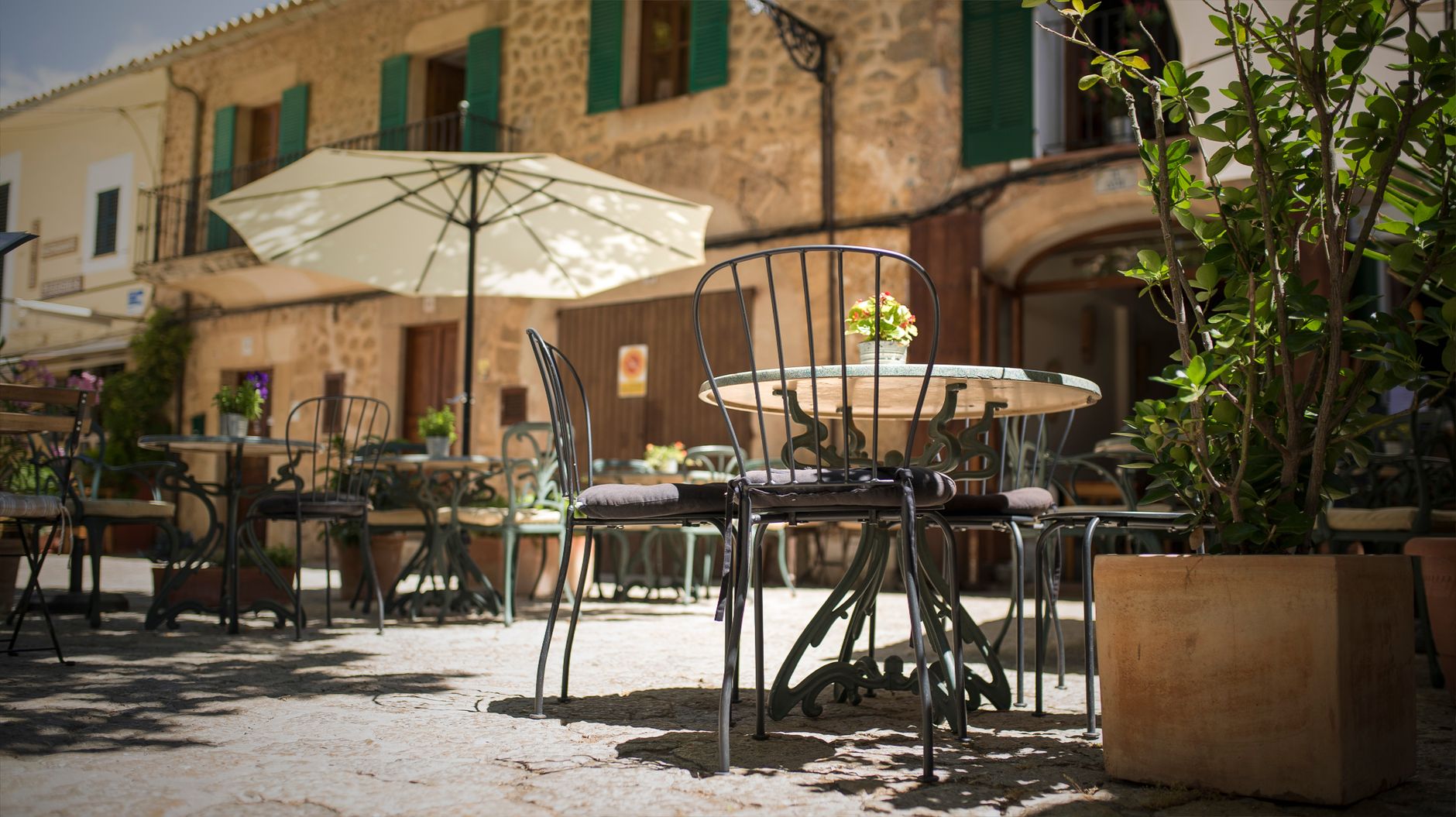 Terraza de cafetería al sol en San Vicente del Raspeig, con ambiente mediterráneo