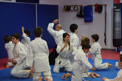 Aikido Aikikai Alicante, en San Vicente del Raspeig - foto 1