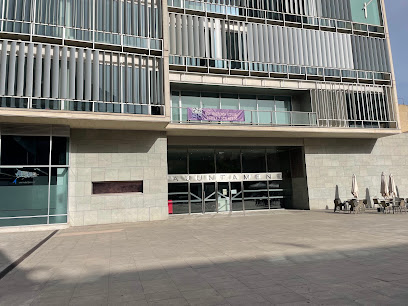 Ayuntamiento de San Vicente del Raspeig - foto 1