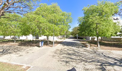 Carr. de San Vicente del Raspeig, s/n, Centro Estudios Iberoamericanos - foto 1