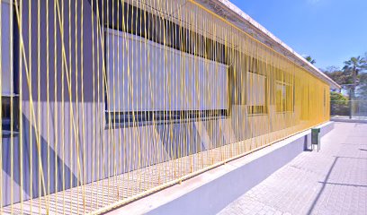 Centro de Tecnificación de Voley Playa Universidad Alicante - foto 1