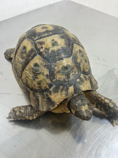 Centro Veterinario Eusgar - foto 1