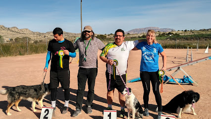 Club de Agility Costa Blanca - foto 1