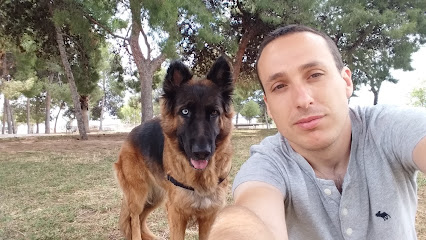 Dog Walking Alicante - foto 1