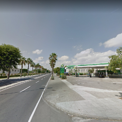 Estación de Servicio BP San Vicente - foto 1