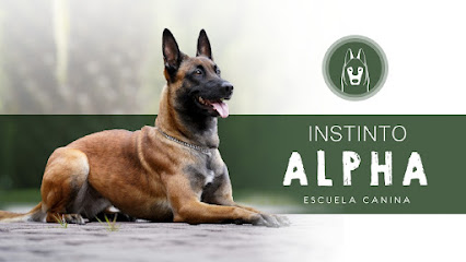 Instinto Alpha - foto 1