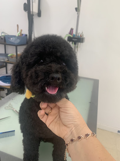 King Pet Spa - foto 1