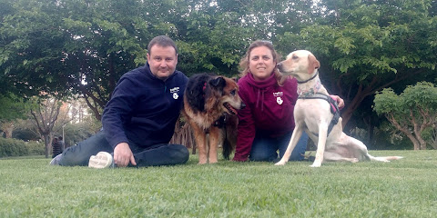 LayKán Educación canina y felina - foto 1