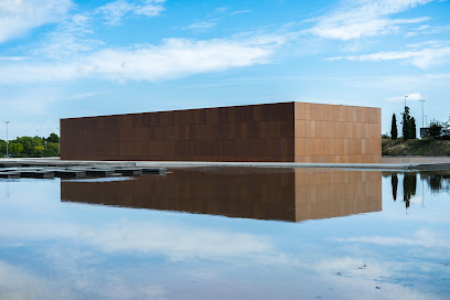 Museo de la Universidad de Alicante - foto 1