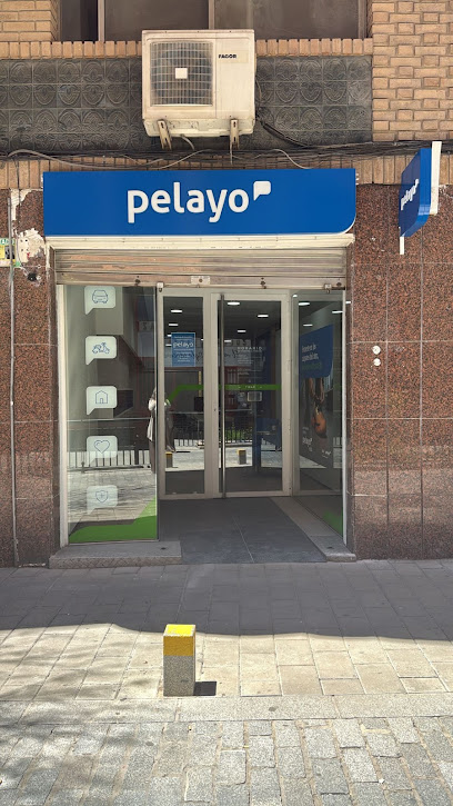 Oficina de Seguros Pelayo - foto 1