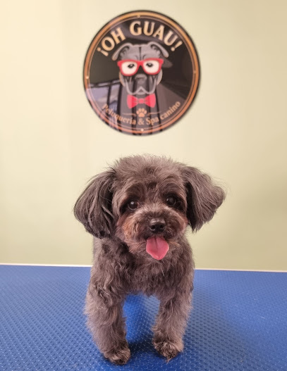 ¡ Oh Guau ! Peluquería & Spa Canino - foto 1