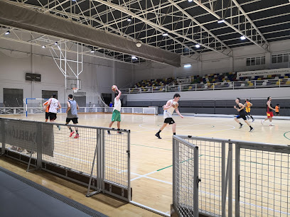 Pabellón Ginés Alenda - foto 1