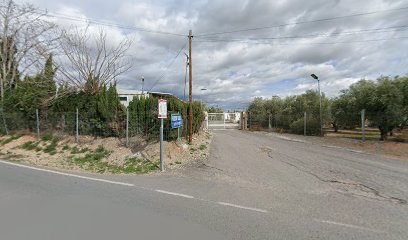 PARKING CANASTEL - foto 1