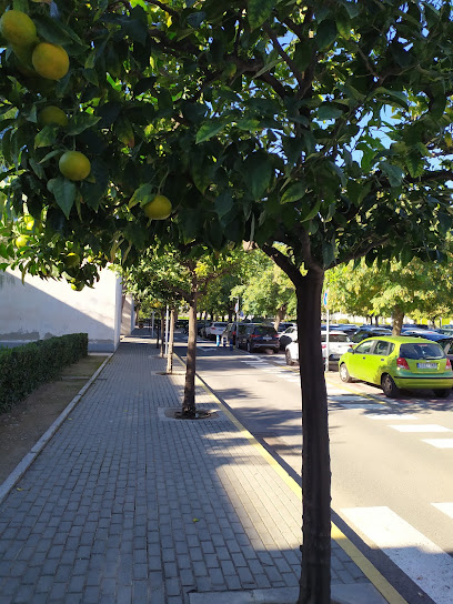 Parking Taller de Imagen - foto 1