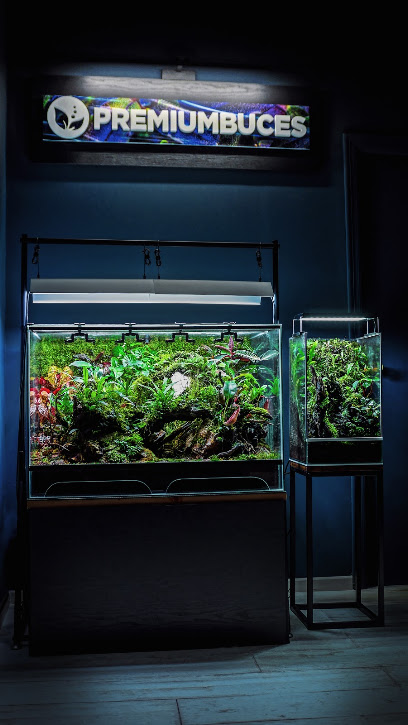 Premiumbuces - Tienda Online de Plantas de Acuario y Terrario - foto 1