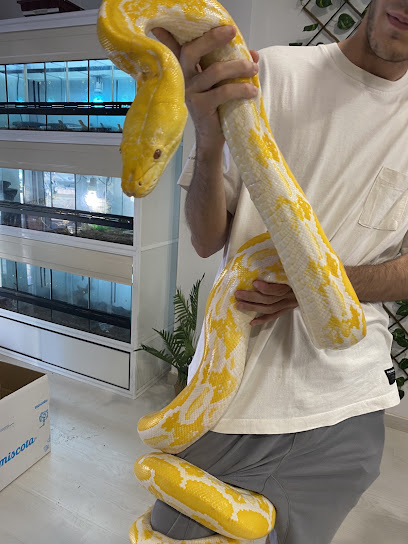 Reptilia - foto 1