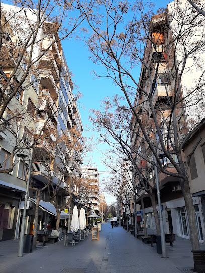 Sant Vicent del Raspeig - foto 1