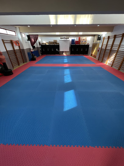TaekPro Taekwondo - foto 1
