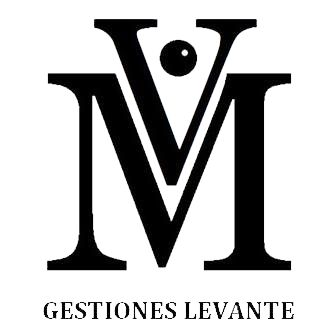VM Gestiones Levante - foto 1