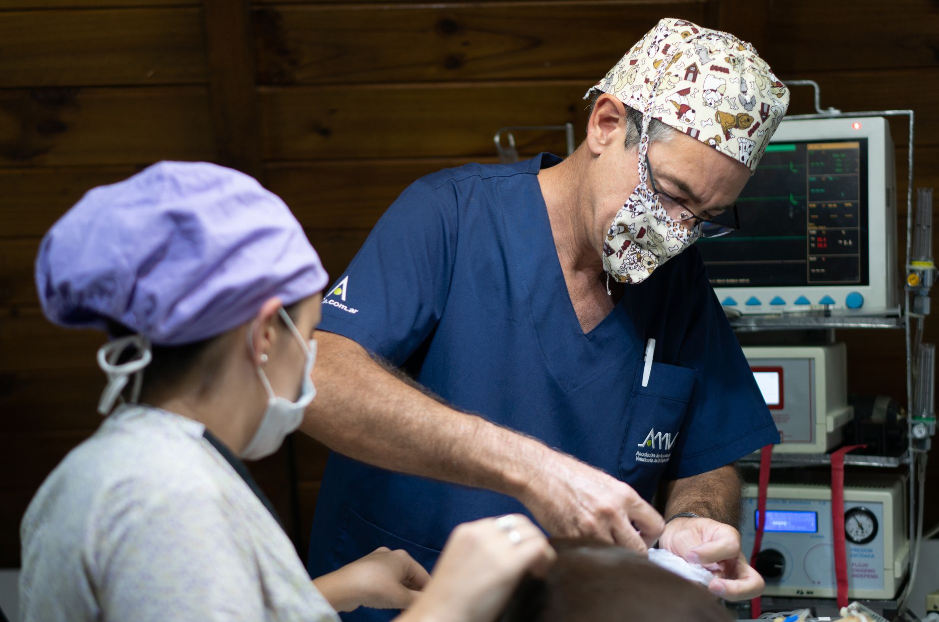 Sala de cirugía veterinaria con equipos modernos