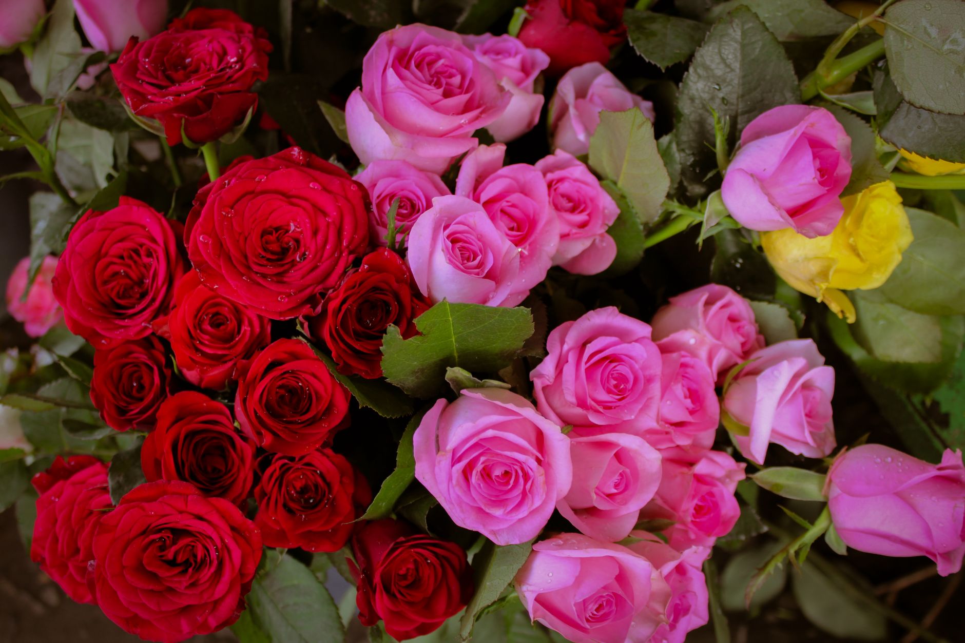 Foto de Floristería Domenech