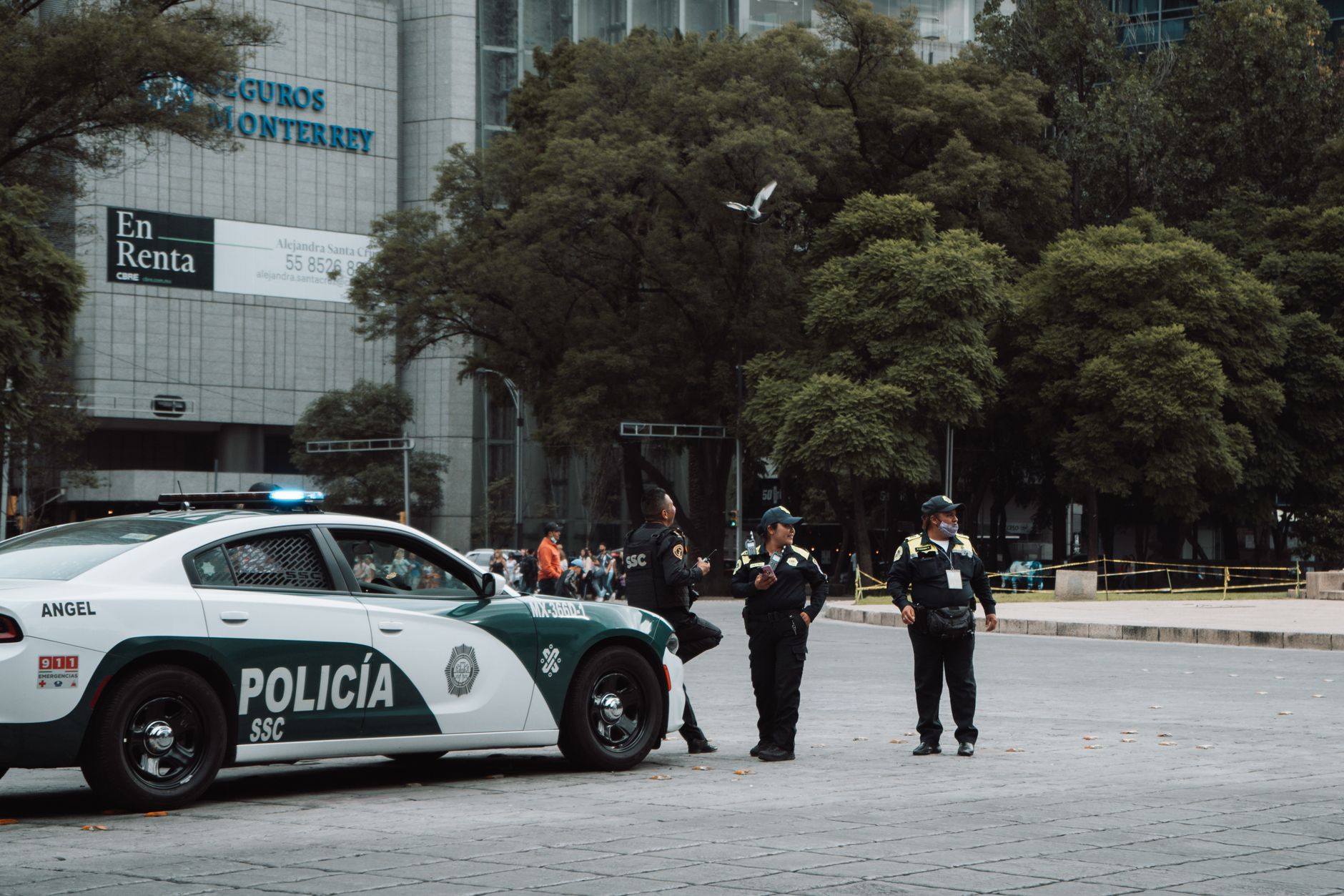 Agente de policía local en servicio de patrulla en San Vicente del Raspeig