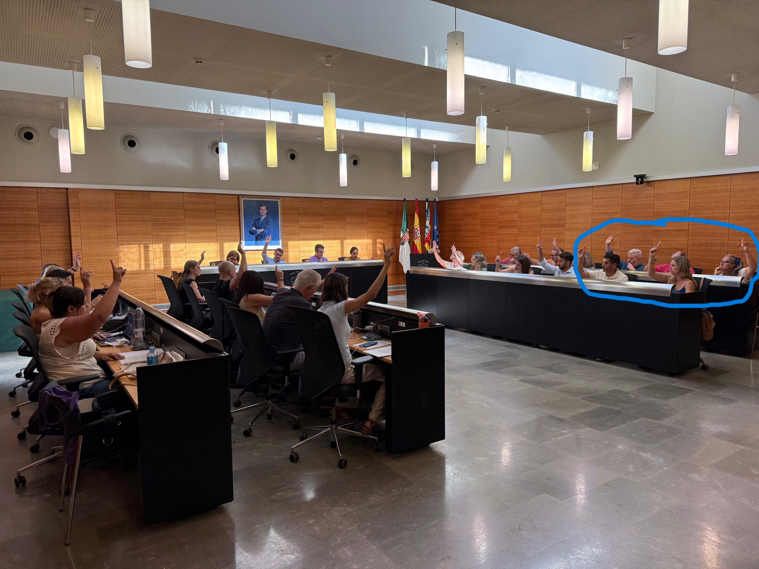 San Vicente aprueba proteger sus árboles con una nueva ordenanza municipal