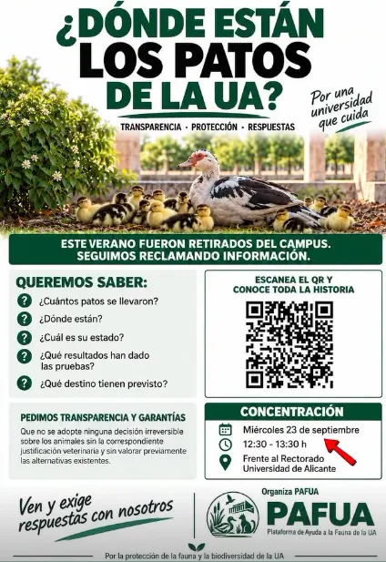 PAFUA convoca una concentración para reclamar información sobre los patos retirados de la Universidad de Alicante