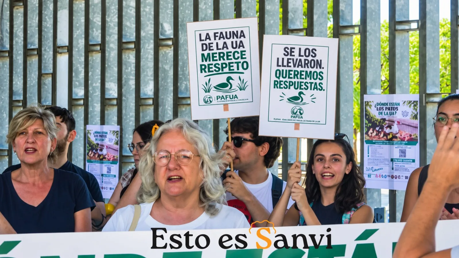 La polémica por el traslado de los patos de la UA continúa y reclaman información sobre su destino