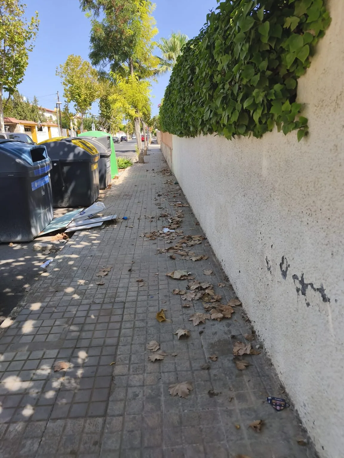 La limpieza de Haygón, en el punto de mira: los vecinos piden medidas urgentes