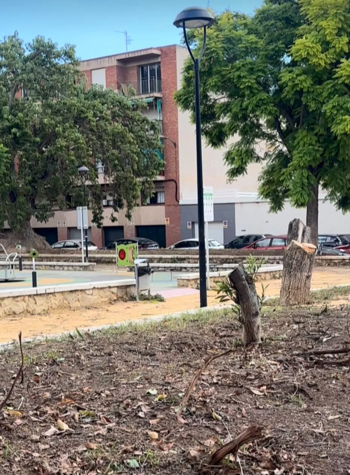 El PSOE denuncia la tala masiva de árboles en el parque Juan XXIII de San Vicente